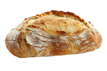 Freshly baked artisanal bread on a minimalist white background showcasing its crusty texture