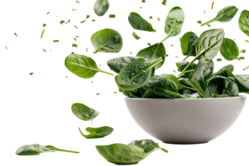 Fresh spinach leaves swirling in air above a white bowl, capturing a moment of culinary motion