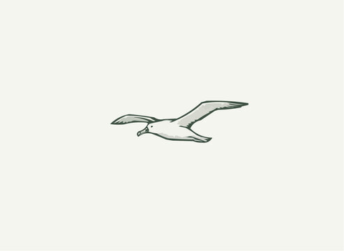 Graceful albatross soars effortlessly, evoking freedom and adventure, perfect for travel posters or nature documentaries with its clean, minimalist style