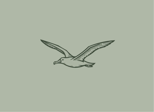 Elegant albatross soars freely, representing freedom and travel, perfect for logos, branding, and adventure themes, a symbol of resilience and exploration