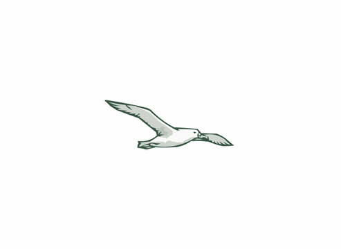Elegant seagull flying, symbolizing freedom and adventure, perfect for travel blogs or coastal themed projects, originally a scalable vector graphic