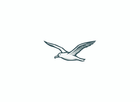 Elegant seagull soars freely, capturing the essence of coastal serenity, a symbol of freedom, perfect for travel, nature, and nautical themes