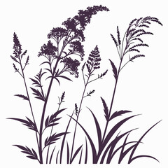 filipendula purpurea with leaves