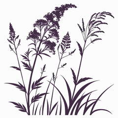 filipendula purpurea vector