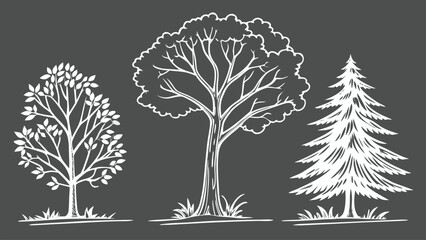 CAD Tree Line Minimal Style Vector Set of Outline Tree Symbols for Architecture and Landscape Design Drawing