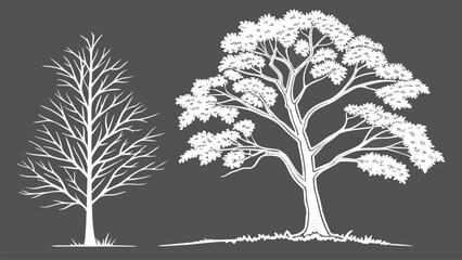CAD Tree Line Minimal Style Vector Set of Outline Tree Symbols for Architecture and Landscape Design Drawing
