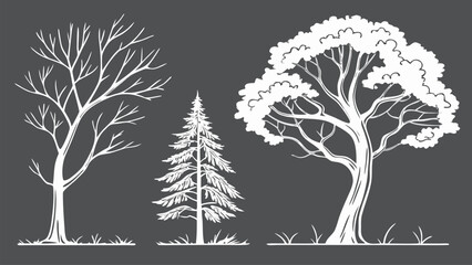 CAD Tree Line Minimal Style Vector Set of Outline Tree Symbols for Architecture and Landscape Design Drawing