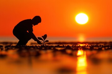 Golden Touch: A lone figure, silhouetted against a fiery sunset, tenderly plants a sapling, symbolizing growth, hope, and environmental stewardship. Capturing the essence of nature's harmony.