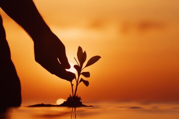 Embrace of growth: A human hand delicately holds a young seedling against the radiant backdrop of a setting sun, symbolizing new life, renewal, and the nurturing of future. 