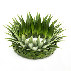 Fototapeta premium Woven Pineapple Crown Made from Natural Green Leaves Isolated on White