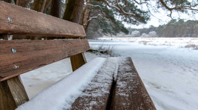 Silent wintry landscape envelopes a snow-dusted bench, evoking Yule reveries and contemplative solitude under whispering pines