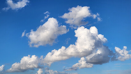 Convective cumulus are collapsing into Stratocumulus. Strong cumulus heads slowly dissipating and...