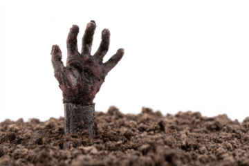 Zombie hand rising from the grave spooky Halloween concept isolated on white background