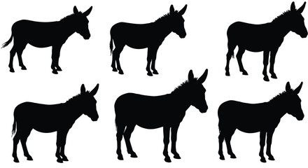 Silhouette collection of donkeys in various poses and perspectives shown