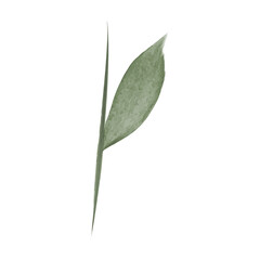 A single green flower stem with a leaf is painted in watercolor style. The design is a vector illustration, perfect for environmental conservation projects.