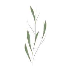 A delicate watercolor illustration showcases a single green flower stem. This vector graphic is ideal for environmental conservation infographics or design projects.