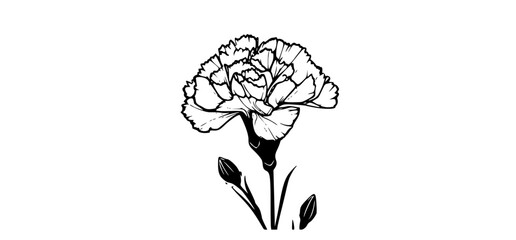 a black and white drawing of a carnation flowerblack, carnation, design, flower, illustration, stem, tattoo, white 
