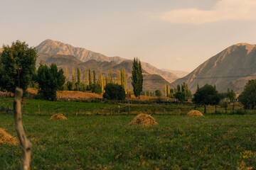 Kyzyl Oi Village, Kyrgyzstan - 25th august 2025