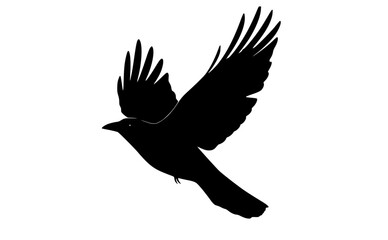 a black silhouette of a bird in flight, with its wings spread widebird, black, crow, flight, fly, profile, raven, sky, spread, wing 
