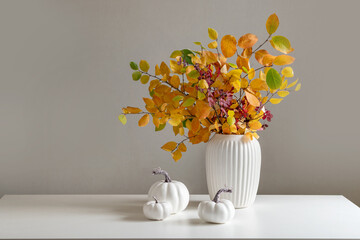 Bouquet of dry colorful red and orange fall leaves and branches in white vase and pumpkins on white...