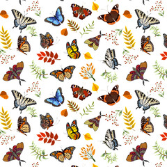 Bright butterflies among the leaves.Vector seamless pattern with bright butterflies and plants on a white background.