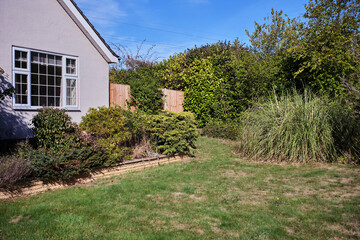 Lawn, pampas grass, bushes, hedges side of a bungalow in summer under blue sky