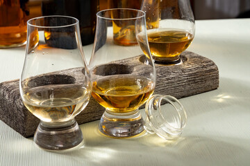 Scotch single malt and blended whisky tasting on distillery in Scotland close up