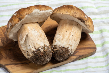 Boletus edulis, cepe, porcini mushrooms unwashed on wooden background, tasty vegetarian food from forest, ingrediens for french and italian cuisine, pasta, risotto, soup