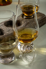 Scotch single malt and blended whisky tasting on distillery in Scotland close up