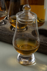 Scotch single malt and blended whisky tasting on distillery in Scotland close up