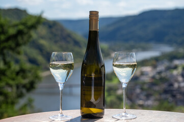 Drinking German dry white riesling wine on terraced vineyards with view on Moselle river valley, wine making industry in Germany, glasses of wine
