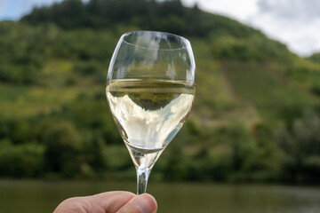 Drinking German dry white riesling wine with view on terraced vineyards in Alf wine willage on Moselle river valley, wine making industry in Germany, glasses of wine