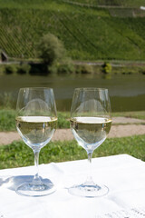 Drinking German dry white riesling wine with view on terraced vineyards in Punderich wine willage on Moselle river valley, wine making industry in Germany, glasses of wine