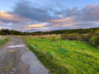 A dirt road in the middle of a grassy field under a cloudy sky