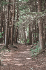 Pennsylvania cabin and hiking scenes 