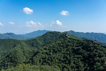 Naklejka premium A wide vista shows the Great Wall of China following the ridge line of a lush, forested mountain range. The impressive structure contrasts with the vast natural landscape under a blue sky 