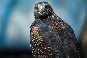 Amor por el entorno © Jasbleidy