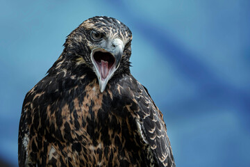 Amor por el entorno © Jasbleidy