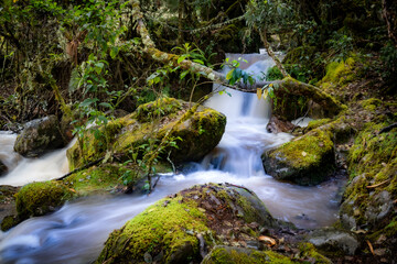 Amor por el entorno © Jasbleidy