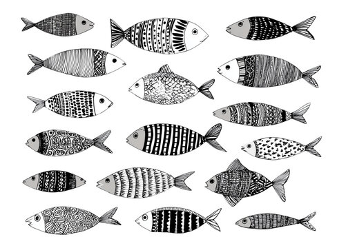 Collection of hand drawn stylized fish with unique patterns.