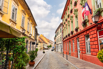 Streets with historic buildings decorated with plants and flowers in the center of Ptuj, Slovenia.