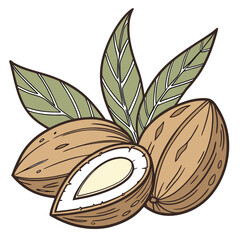 vector illustration of an apple