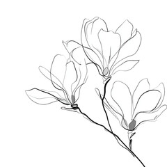 Obraz premium Minimalist black and white line art of three magnolia flowers.
