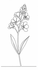 Minimalist Botanical Line Art: A delicate line drawing of a vibrant flower, capturing the elegance of nature's design. The artwork celebrates the grace of the flower.