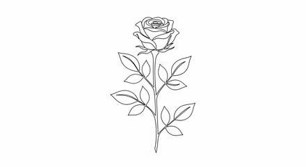 Obraz premium Elegance in Simplicity: A detailed monochrome line drawing of a single rose blossom on a delicate stem, exuding timeless beauty and grace.