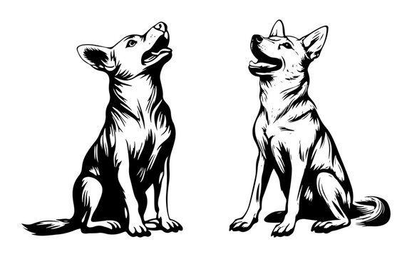 New Guinea Singing Dog sitting &ndash; black and white vector illustration