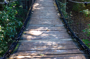 Obraz premium Wooden suspension bridge in forest