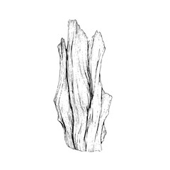 Obraz premium A detailed monochrome illustration of a tree trunk and branches with intricate line work on white background