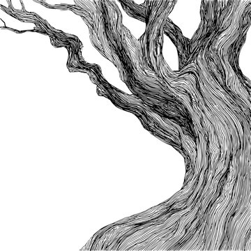 Illustration of a tree branch with small offshoots and rough bark texture in black and white style