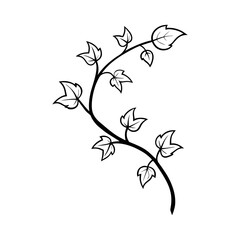 Ivy Vine Outline Line Art